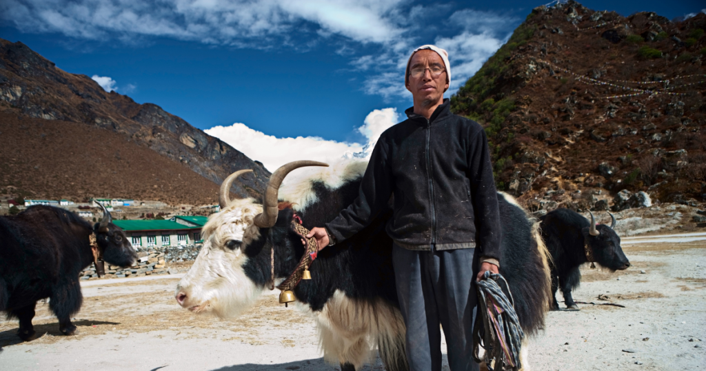 sherpa everest region